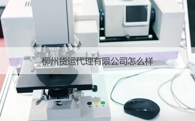 柳州货运代理市场分析 优质企业盘点与商务代办服务指南