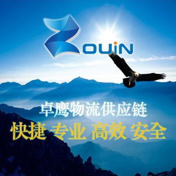 宁波港进口意大利红酒 专业报关报检与上海食品进口清关服务详解