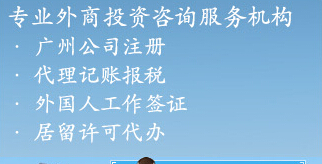 Law seagull商务代理代办服务 专业护航，让企业轻装上阵